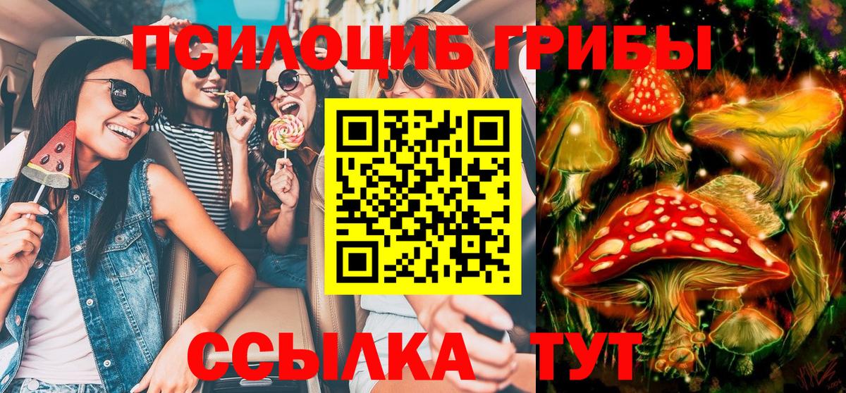 Псилоцибиновые грибы прущие грибы  Вход с VPN  Протвино 