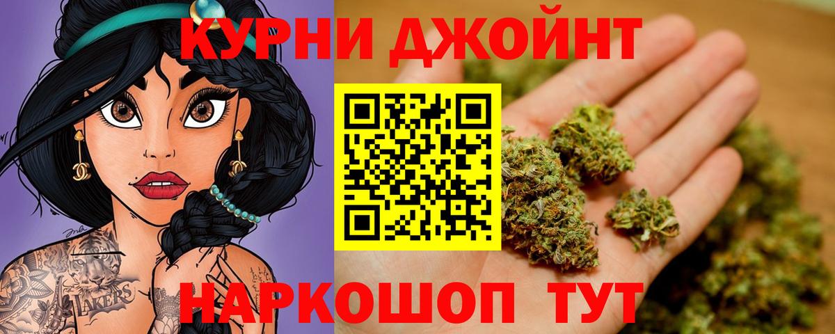 Бошки Шишки план Протвино